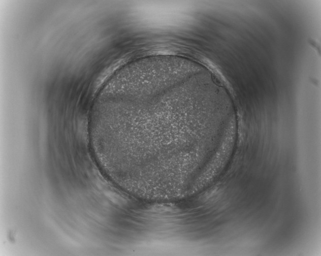 X0000102310386200808152046