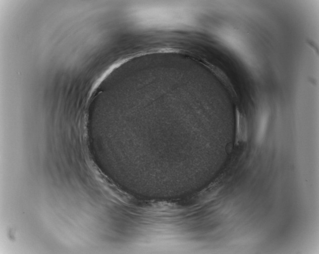X0000102310387200808152046