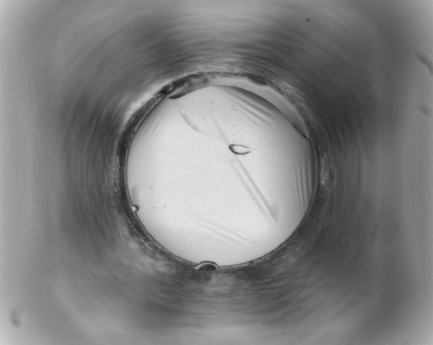 X0000102310388200808152046