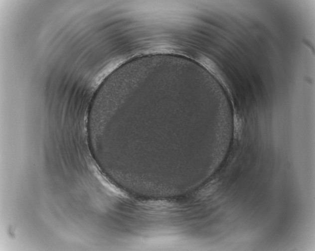 X0000102310389200808152046