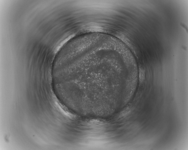 X0000102310390200808152046