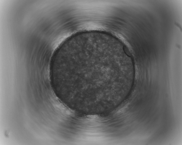 X0000102310391200808152046