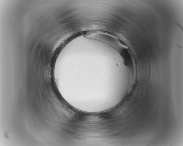 X0000102310392200808152046