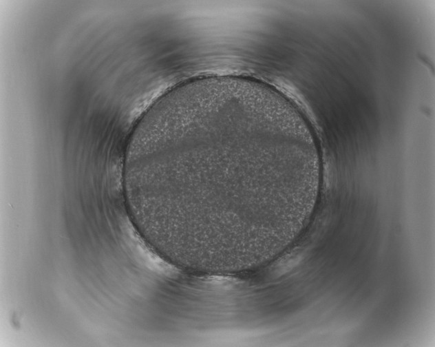X0000102310393200808152046