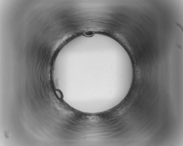 X0000102310395200808152046