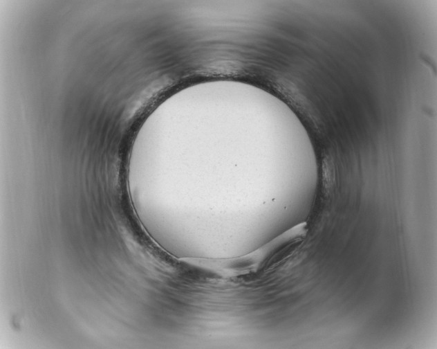 X0000102310396200808152046