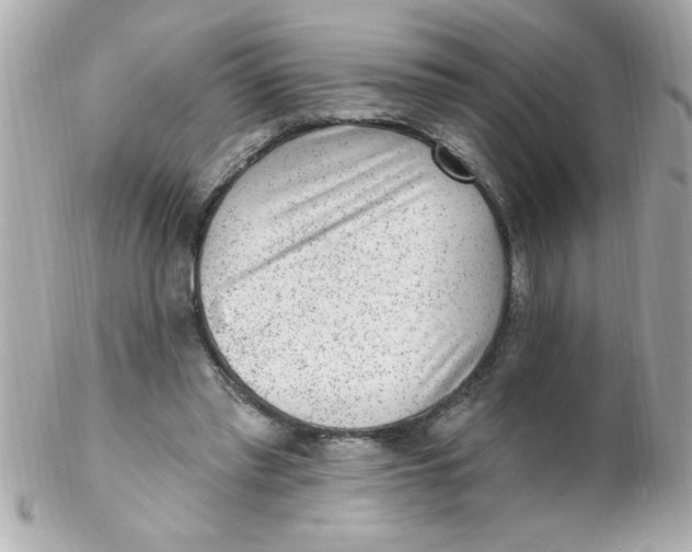 X0000102310397200808152046