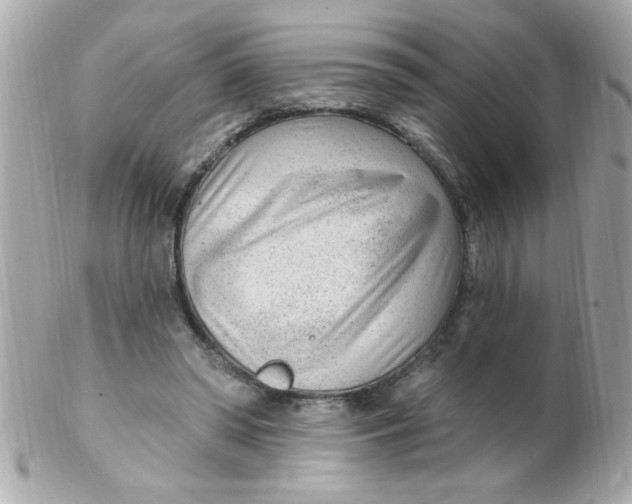 X0000102310398200808152046