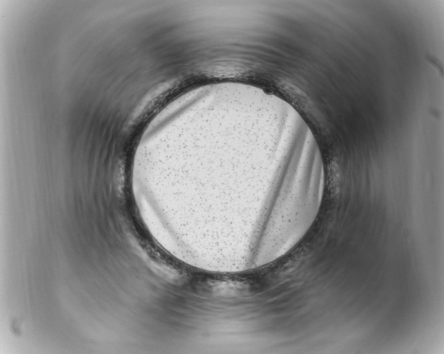 X0000102310400200808152046