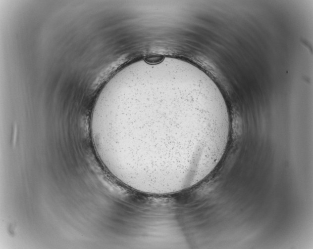 X0000102310401200808152046