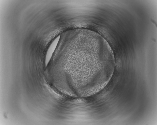 X0000102310402200808152046