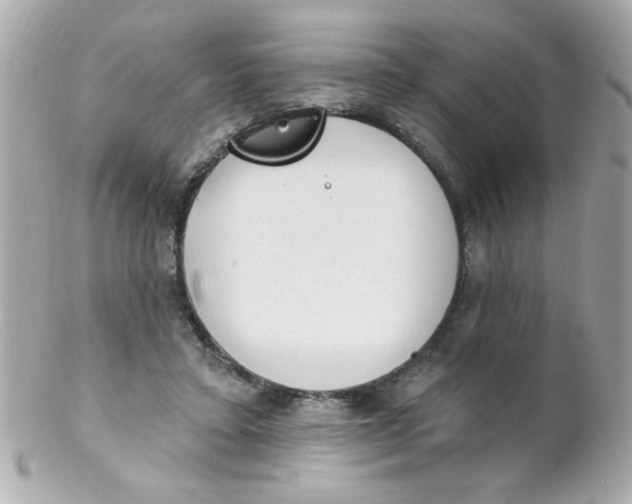 X0000102310403200808152046