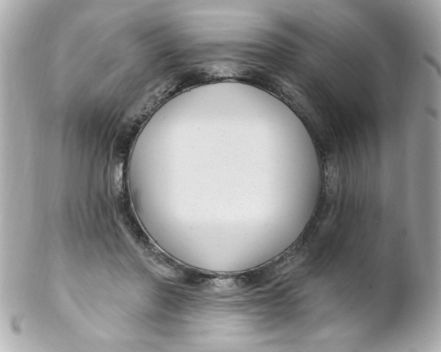 X0000102310406200808152046
