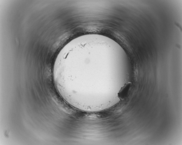 X0000102310407200808152046