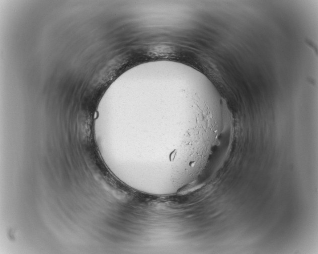 X0000102310408200808152046