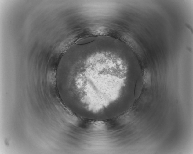 X0000102310409200808152046