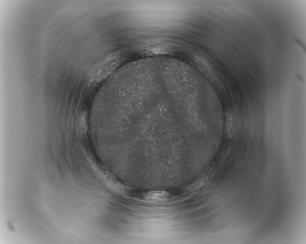 X0000102310410200808152046