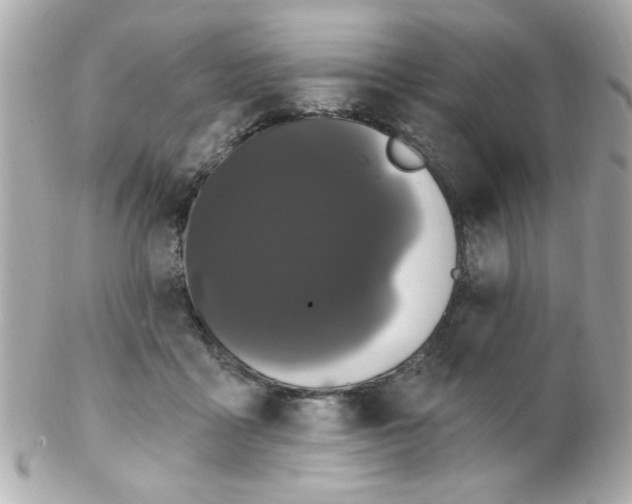 X0000102310411200808152046