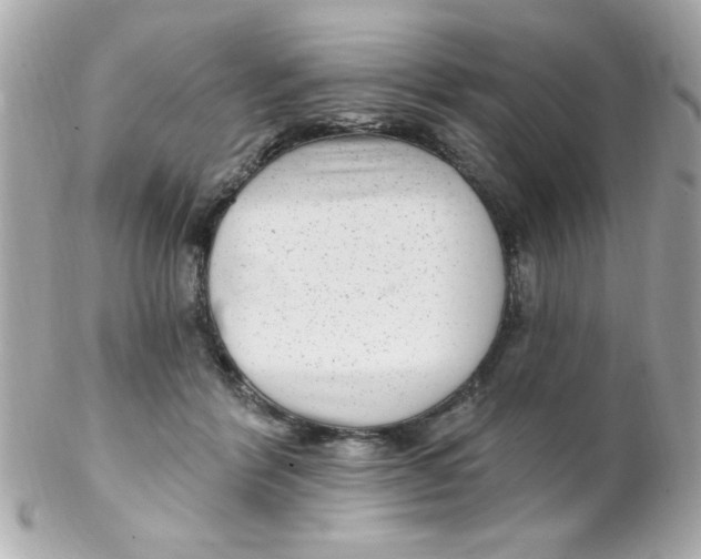 X0000102310412200808152046