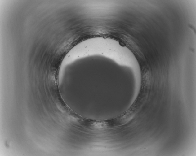 X0000102310415200808152046