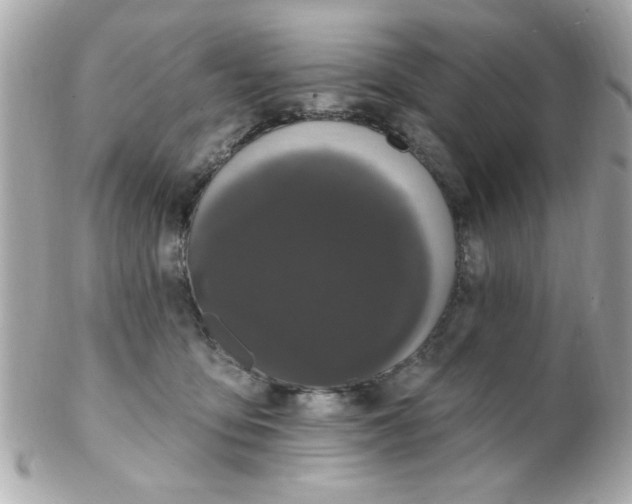 X0000102310419200808152046