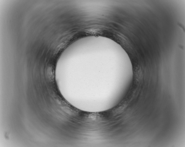 X0000102310420200808152046