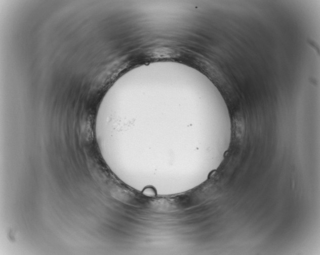 X0000102310422200808152046