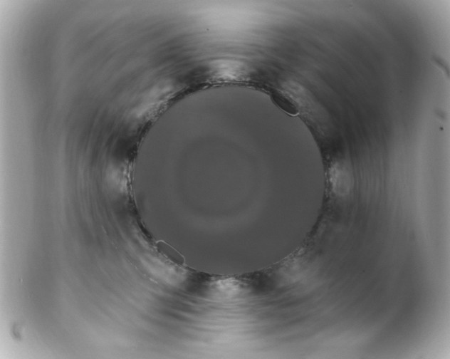 X0000102310423200808152046