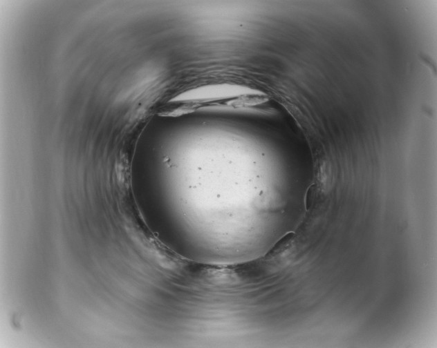 X0000102310424200808152046