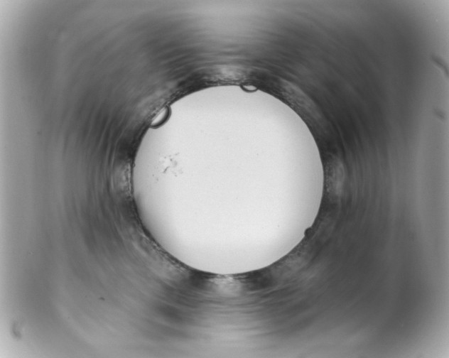 X0000102310425200808152046