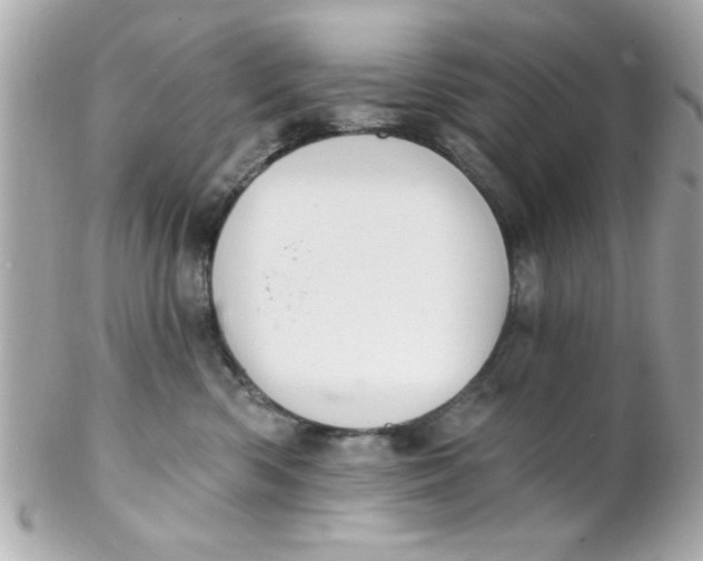 X0000102310426200808152046