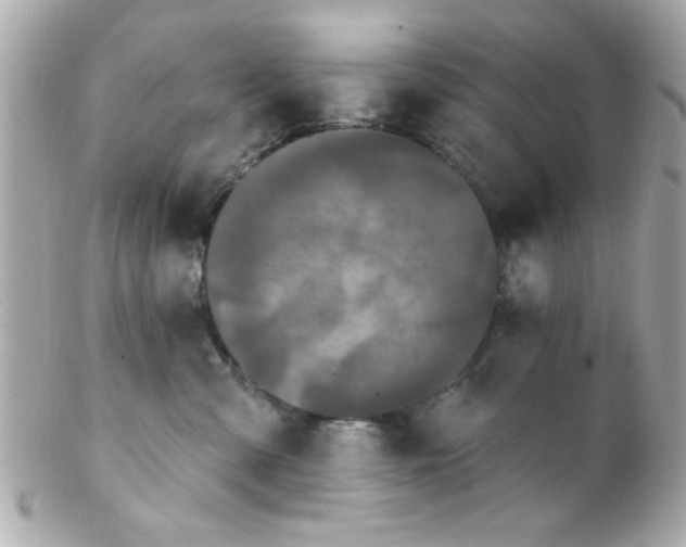 X0000102310427200808152046