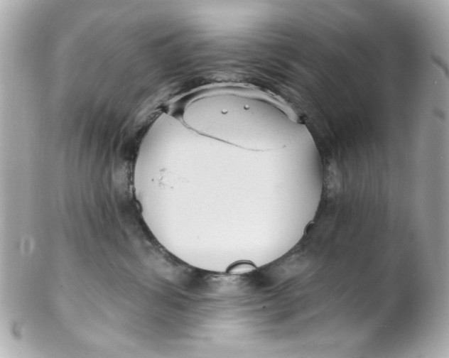 X0000102310428200808152046