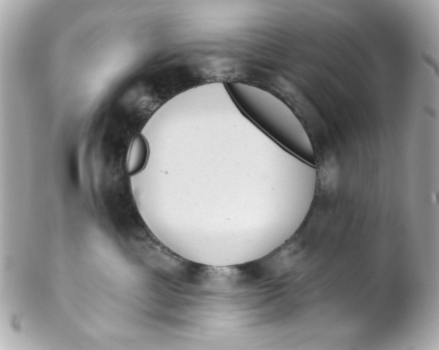 X0000102310429200808152046