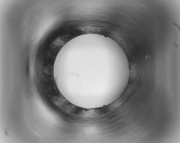 X0000102310430200808152046