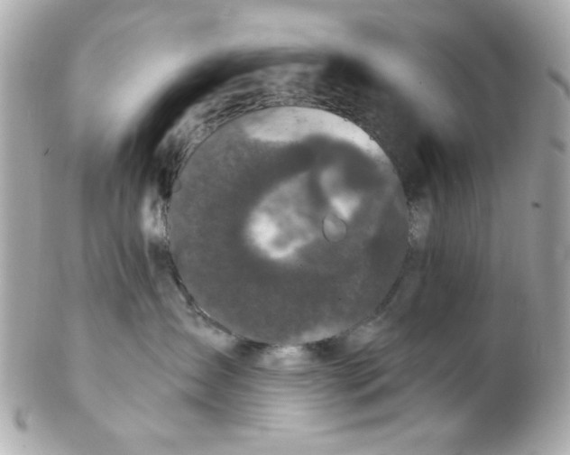X0000102310431200808152046