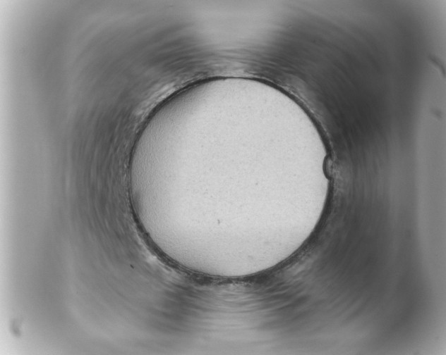 X0000102310433200808152045
