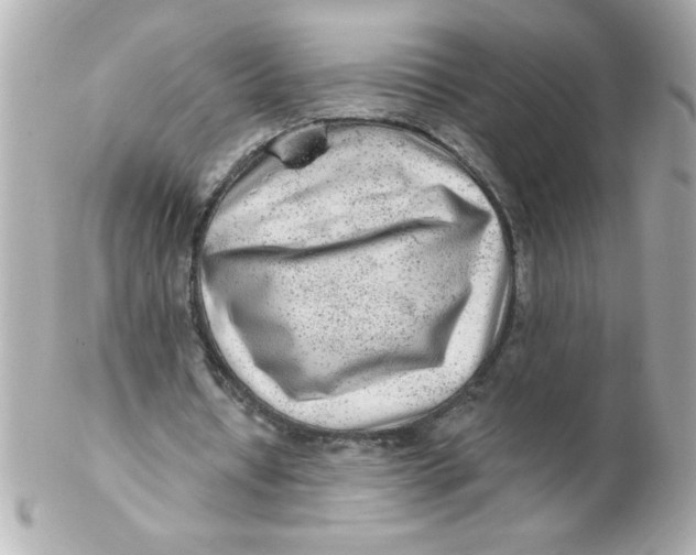 X0000102310434200808152045