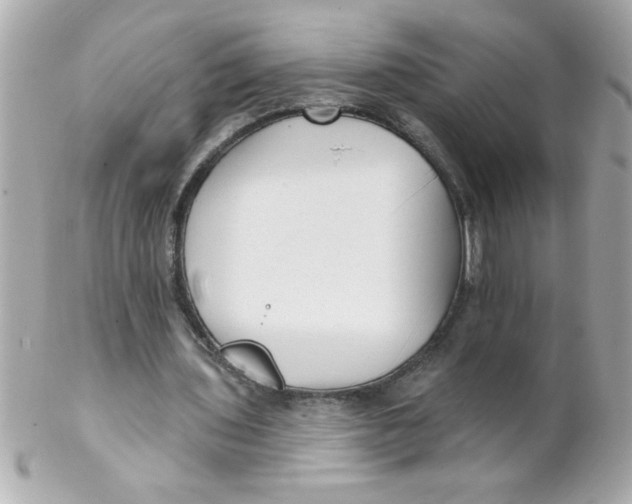 X0000102310435200808152045