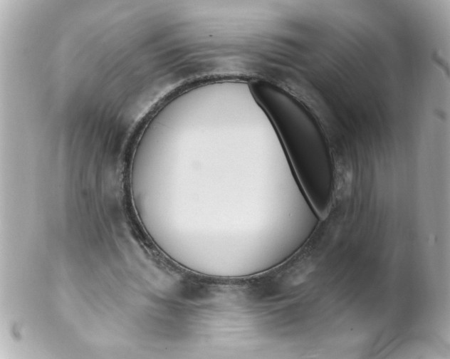 X0000102310436200808152045