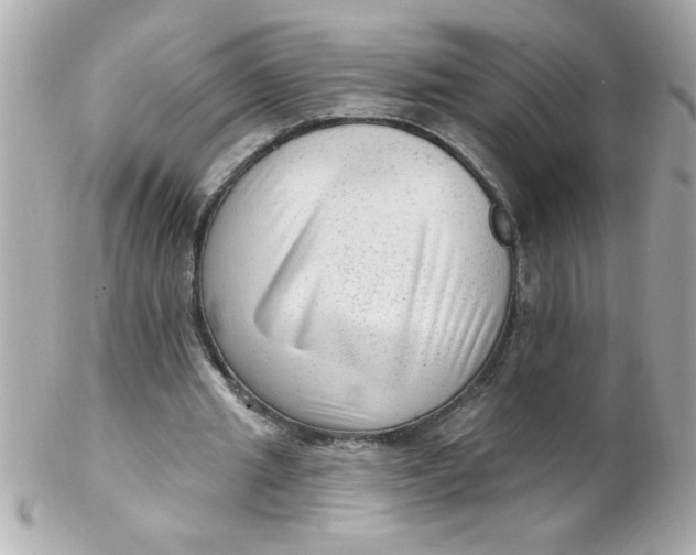 X0000102310437200808152045
