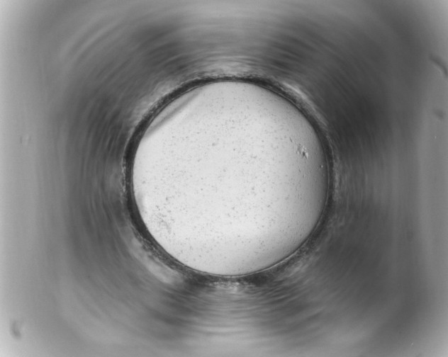 X0000102310439200808152045