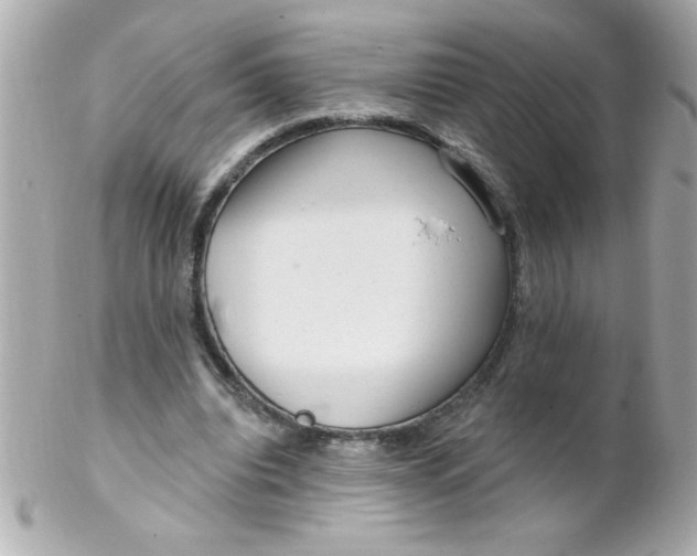 X0000102310440200808152045