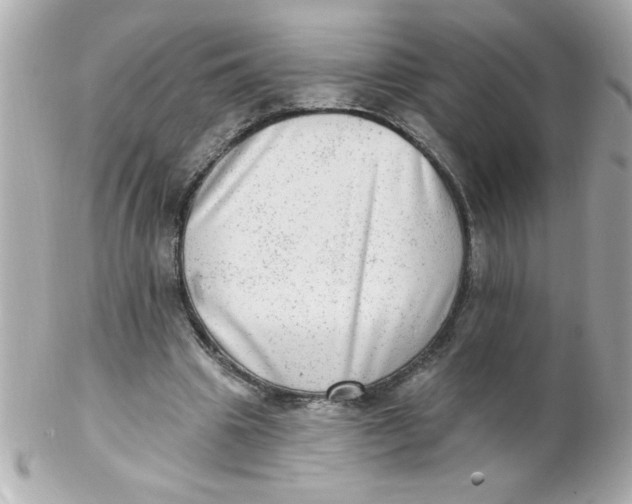X0000102310441200808152045