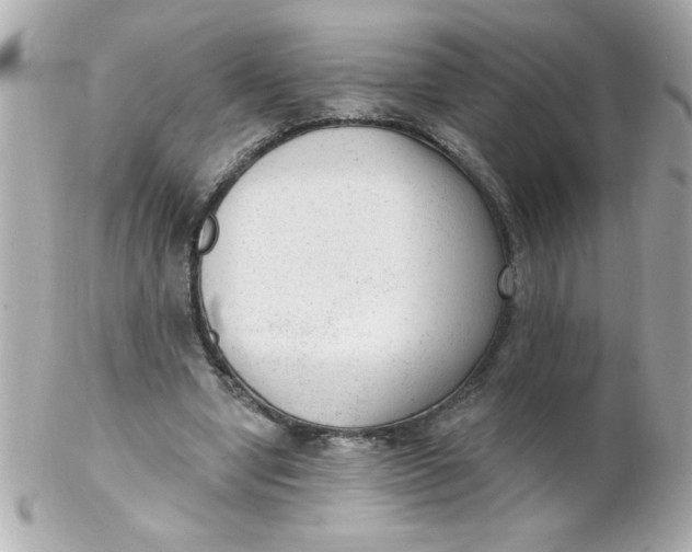 X0000102310442200808152045