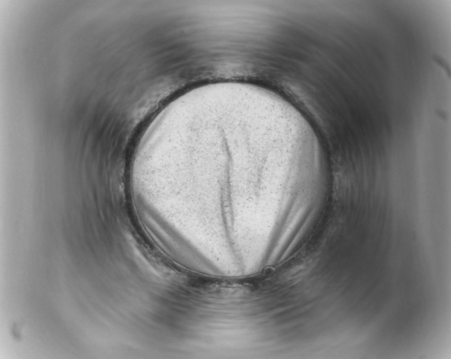 X0000102310443200808152045