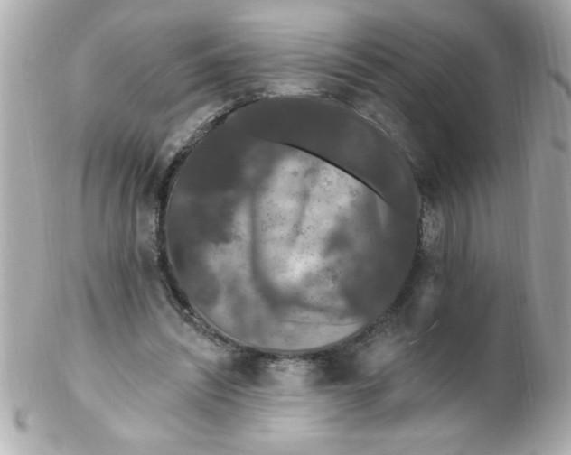 X0000102310444200808152045