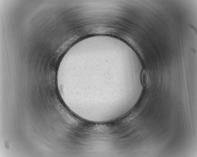 X0000102310445200808152045