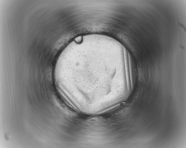 X0000102310447200808152045