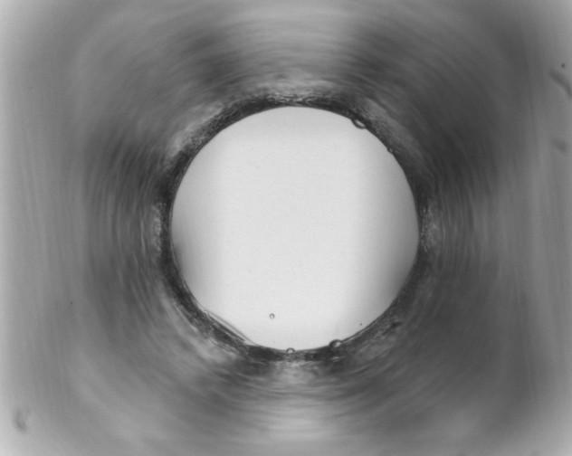 X0000102310448200808152045